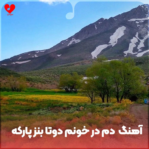 دانلود اهنگ دم در خونم دوتا بنز پارکه ساعت دستم رولکس لباسام مارکه 